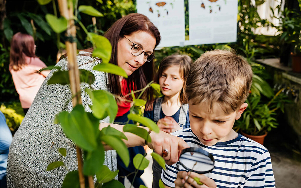 Eine Lehrerin und Kinder betrachten Pflanzen in einem Garten.